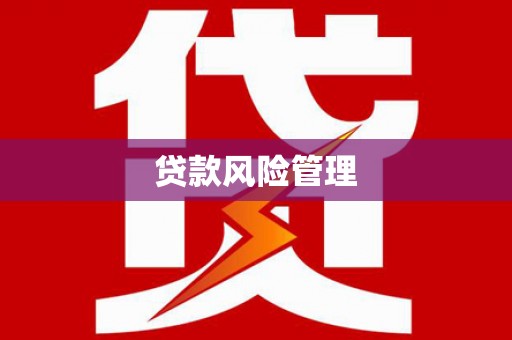口湖贷款风险管理