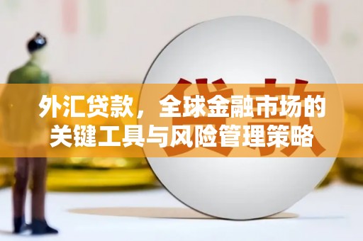南丰外汇贷款，全球金融市场的关键工具与风险管理策略