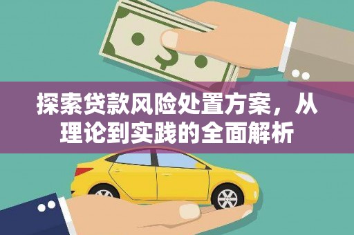 新邱探索贷款风险处置方案，从理论到实践的全面解析