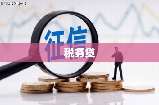 怀集税务贷