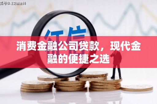 元谋消费金融公司贷款，现代金融的便捷之选