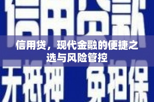 夏津信用贷，现代金融的便捷之选与风险管控