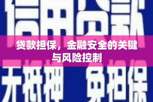 定海贷款担保，金融安全的关键与风险控制