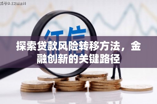 贞丰探索贷款风险转移方法，金融创新的关键路径