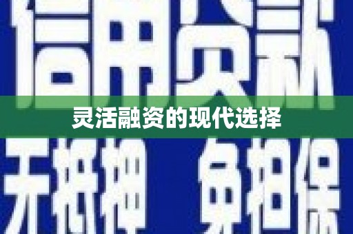 乌拉特中旗灵活融资的现代选择