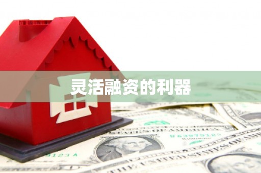 大理灵活融资的利器