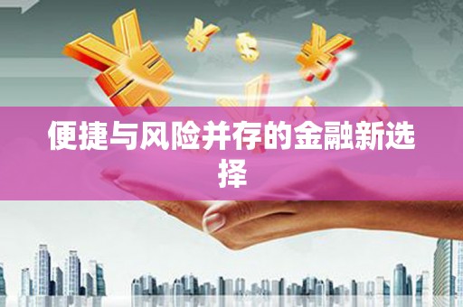 德宏便捷与风险并存的金融新选择