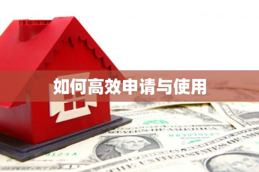 施甸如何高效申请与使用