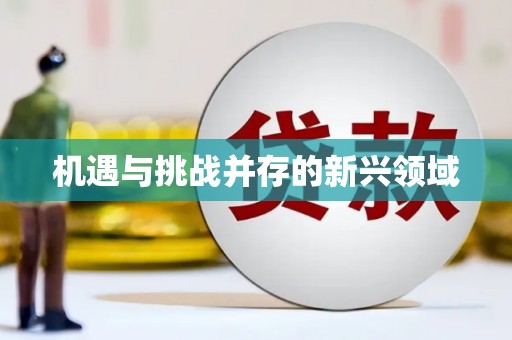 固始机遇与挑战并存的新兴领域