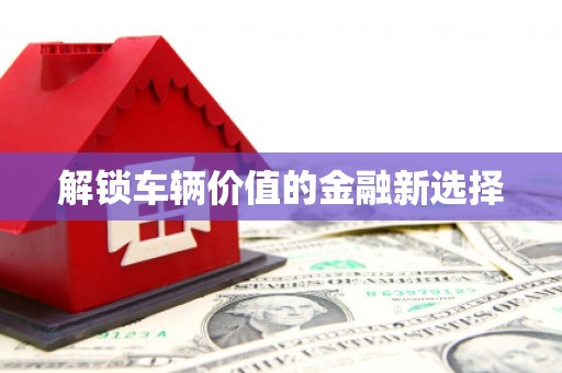 宝坻解锁车辆价值的金融新选择