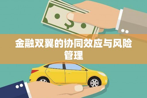 海兴金融双翼的协同效应与风险管理