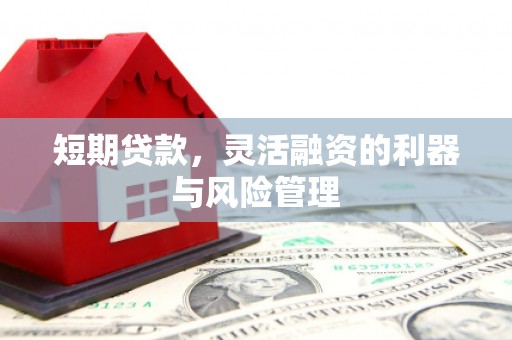 国姓短期贷款，灵活融资的利器与风险管理
